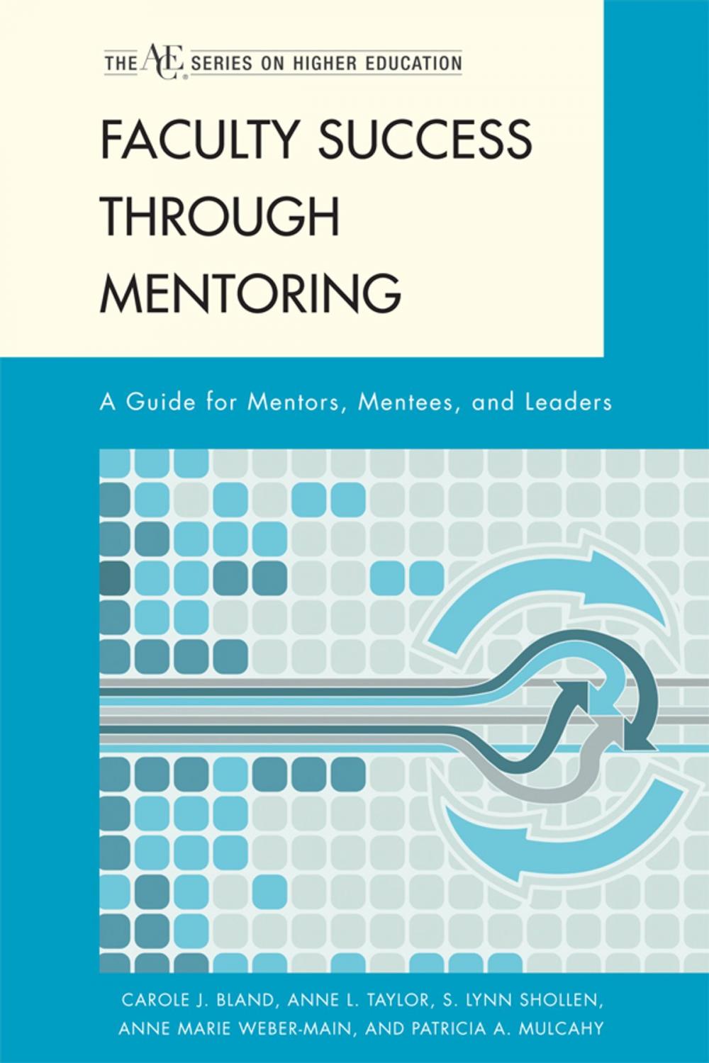 Big bigCover of Faculty Success through Mentoring