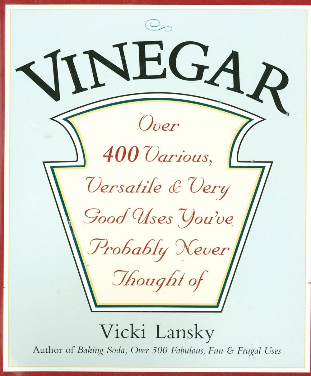 Big bigCover of Vinegar