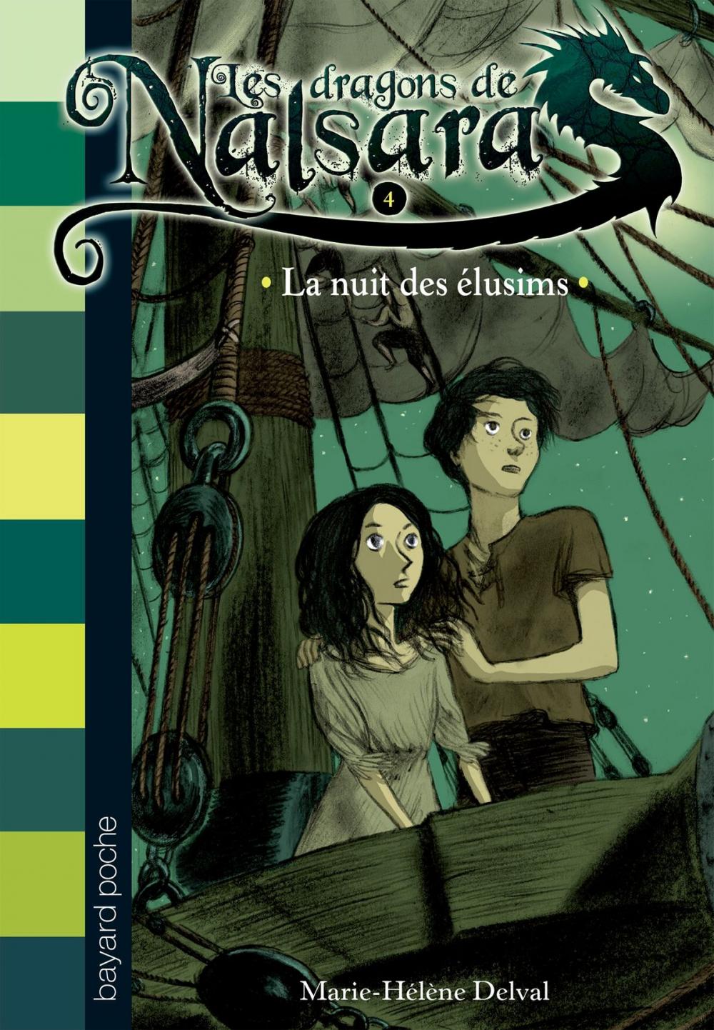 Big bigCover of Les dragons de Nalsara, Tome 4