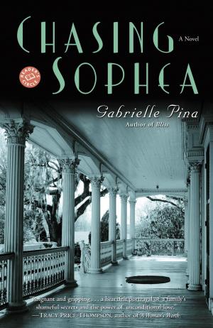 Book cover of Chasing Sophea