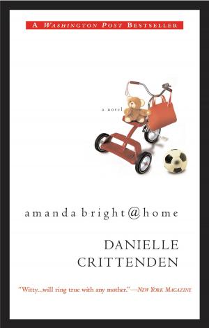 bigCover of the book Amanda Bright @ Home by 