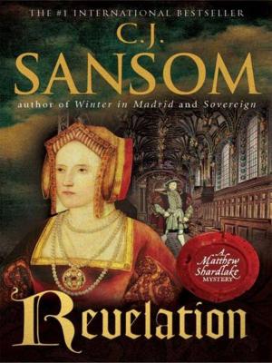 Cover of the book Revelation by Sue Monk Kidd