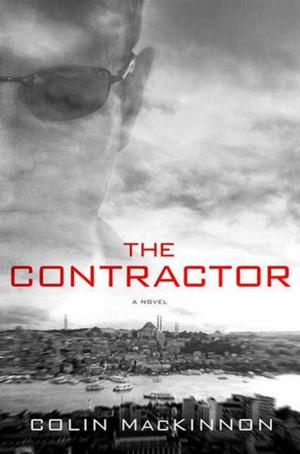 Cover of the book The Contractor by Sara Fawkes