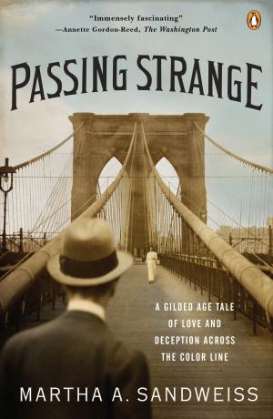 bigCover of the book Passing Strange by 