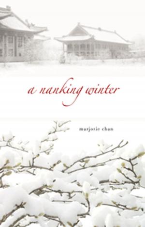 Cover of the book A Nanking Winter by David Yee