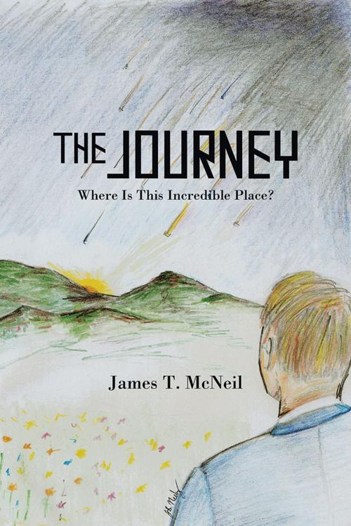 Cover of the book The Journey by James T. McNeil, iUniverse
