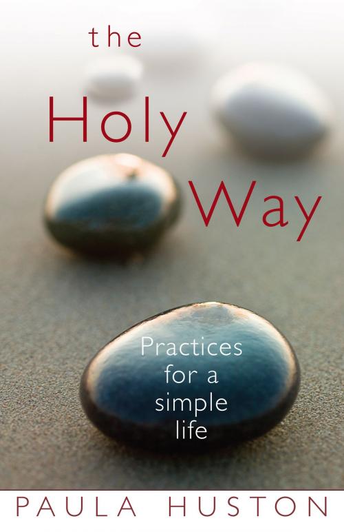 Cover of the book The Holy Way by Paula Huston, Loyola Press