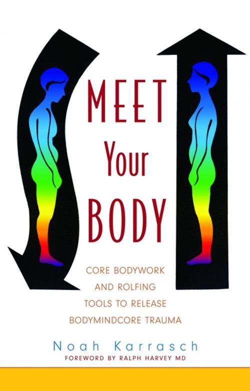 Cover of the book Meet Your Body by Noah Karrasch, Jessica Kingsley Publishers