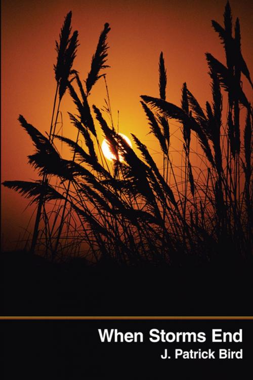 Cover of the book When Storms End by J. Patrick Bird, AuthorHouse