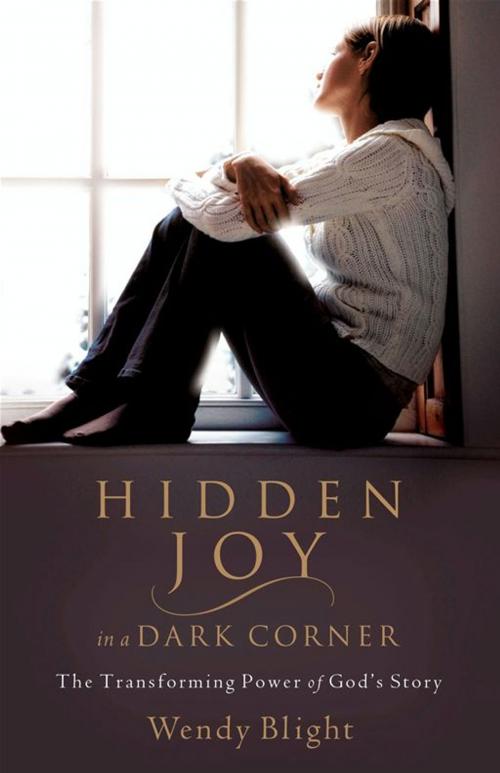 Cover of the book Hidden Joy in a Dark Corner by Wendy Blight, Moody Publishers