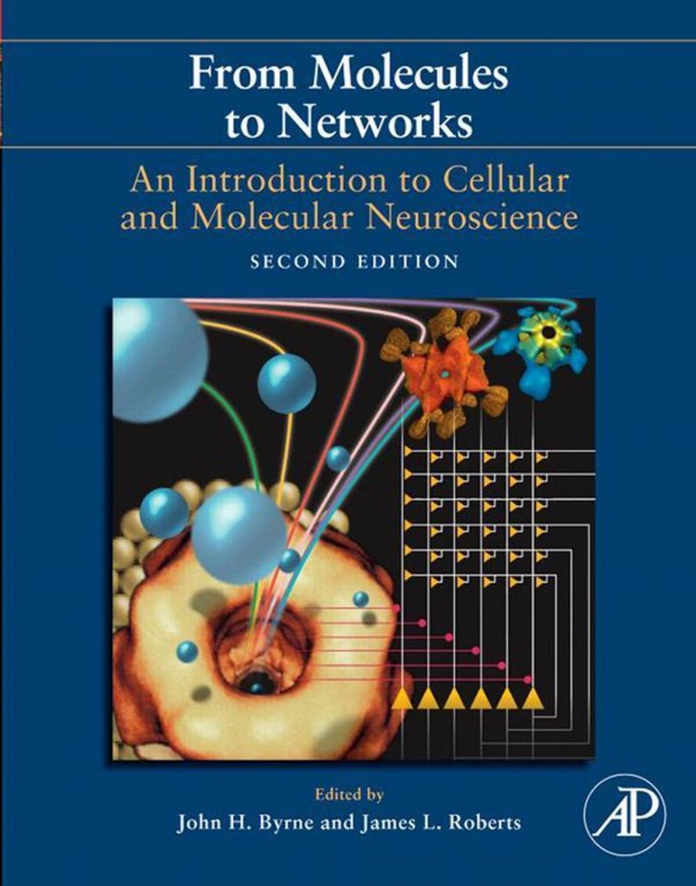 Big bigCover of From Molecules to Networks