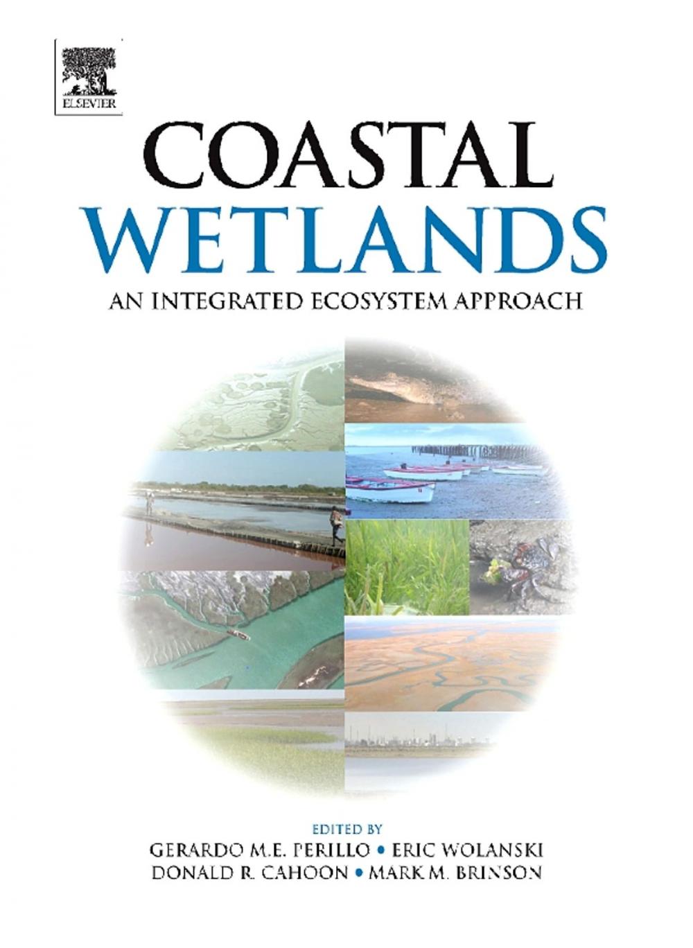 Big bigCover of Coastal Wetlands