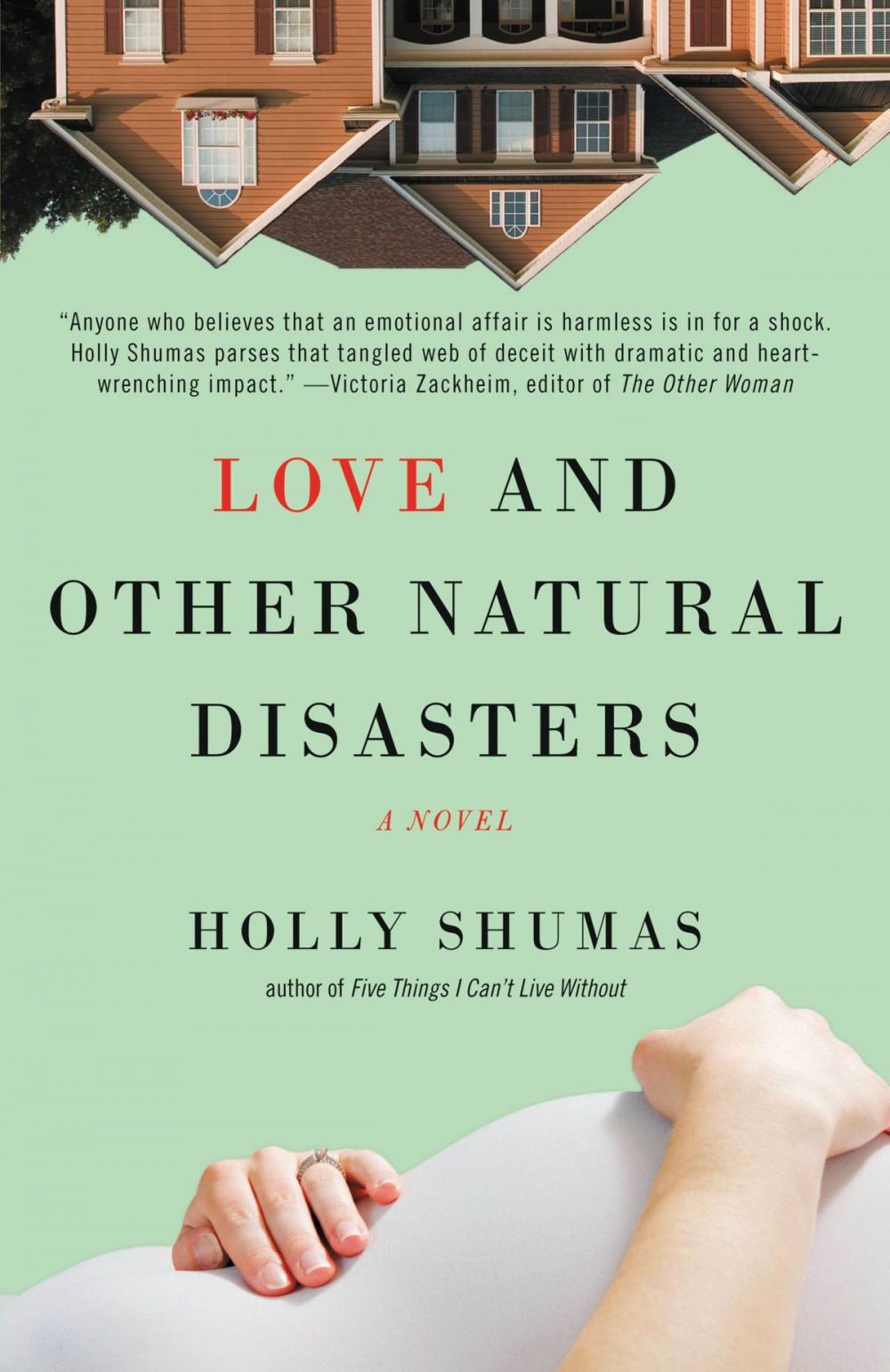 Big bigCover of Love and Other Natural Disasters