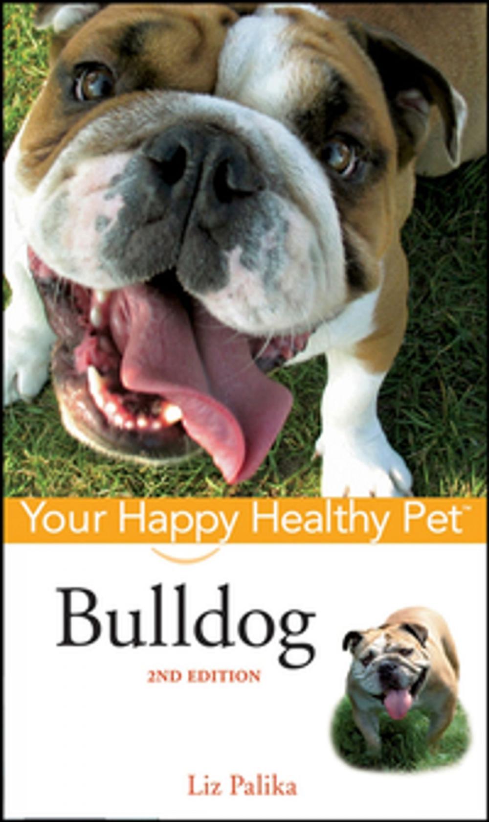 Big bigCover of Bulldog