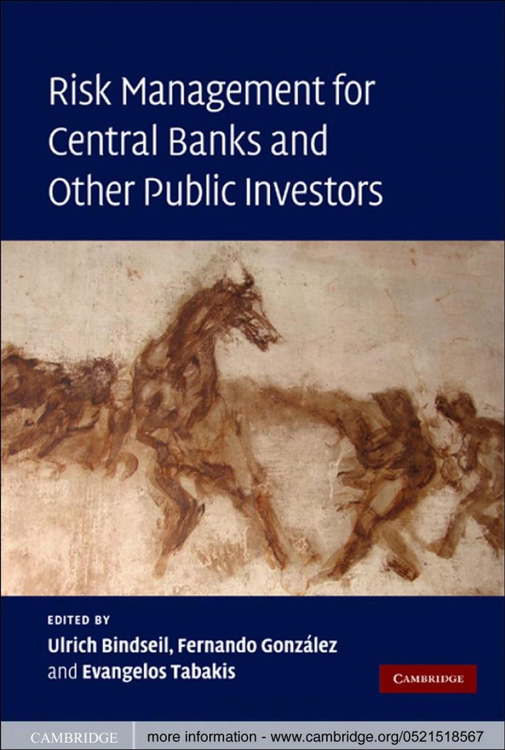 Big bigCover of Risk Management for Central Banks and Other Public Investors