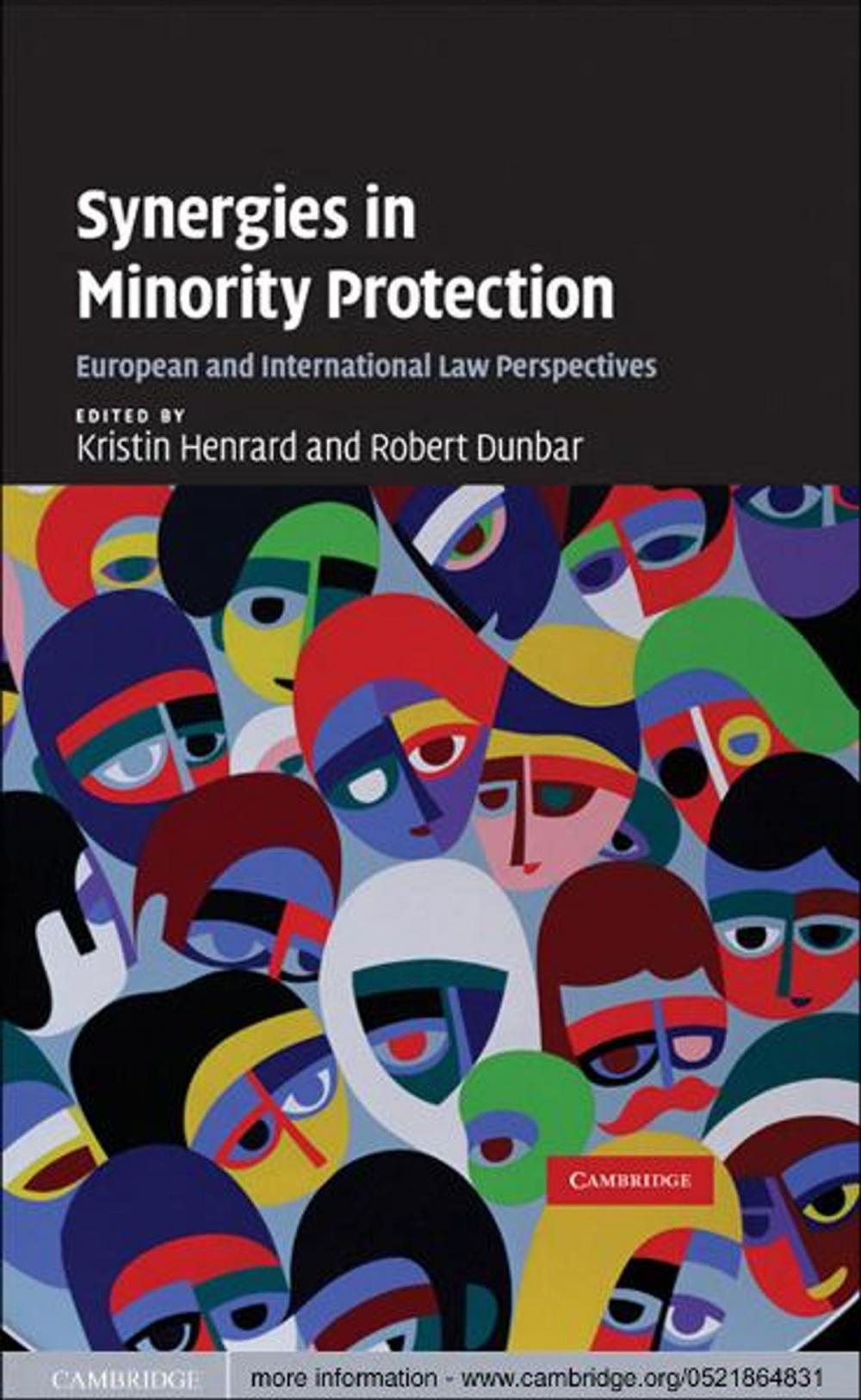 Big bigCover of Synergies in Minority Protection