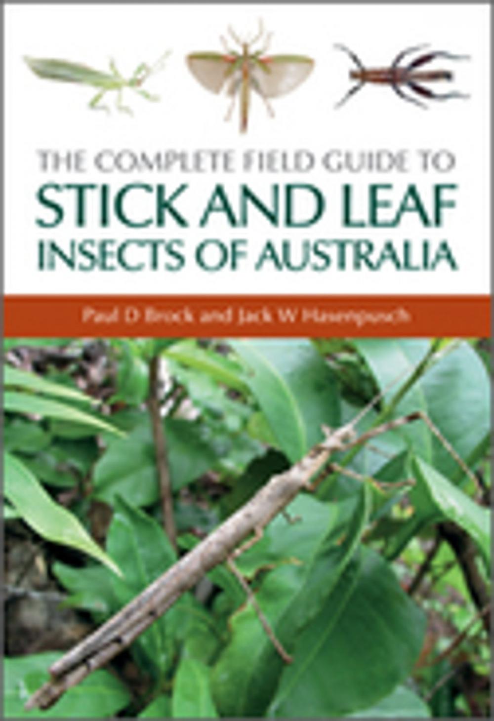 Big bigCover of The Complete Field Guide to Stick and Leaf Insects of Australia