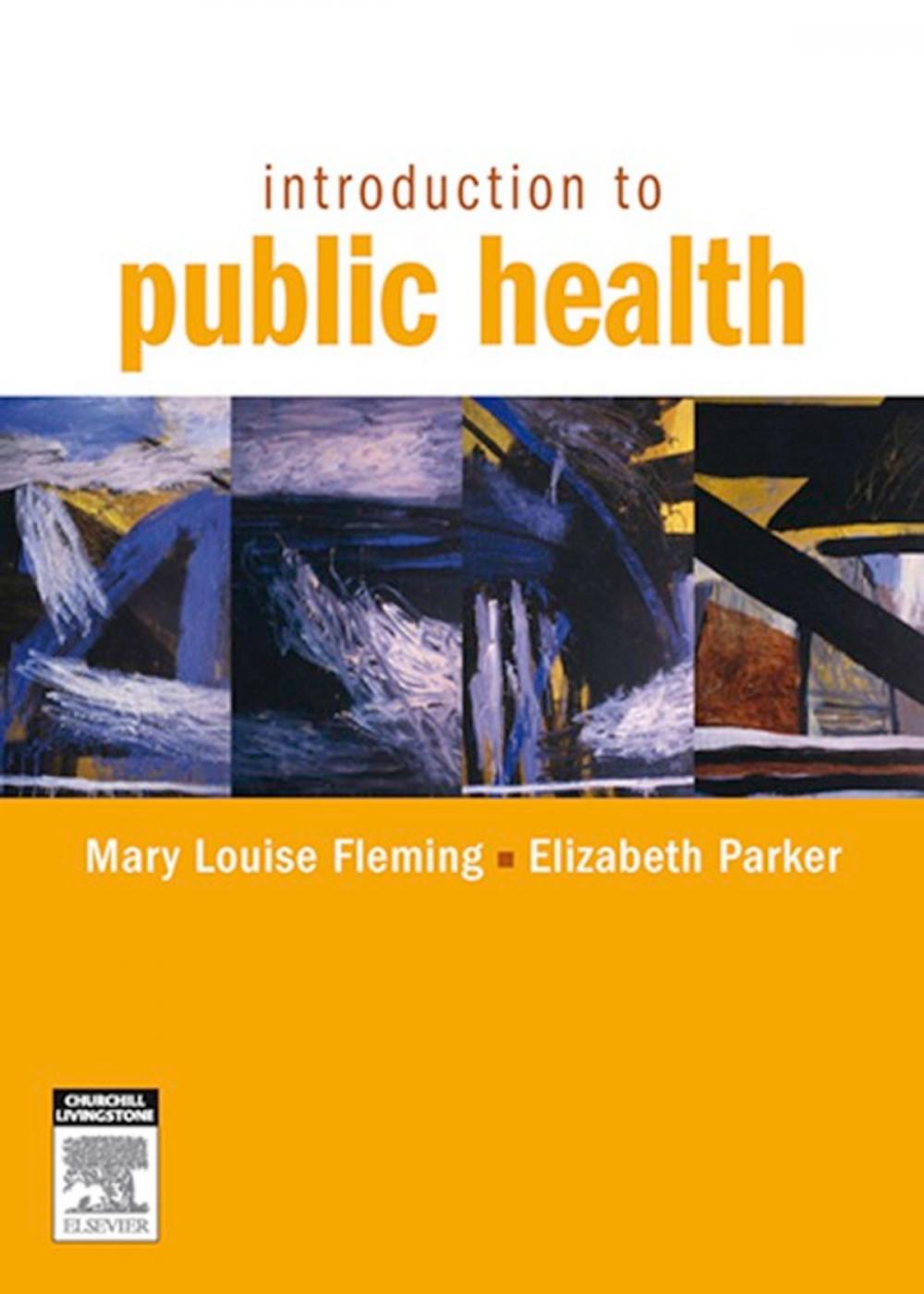 Big bigCover of Introduction to Public Health E-Book