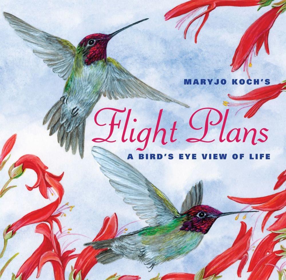 Big bigCover of Flight Plans