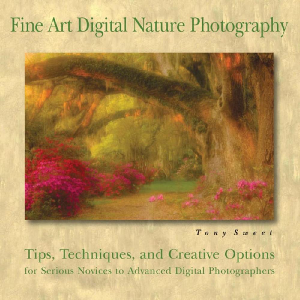 Big bigCover of Fine Art Digital Nature Photography