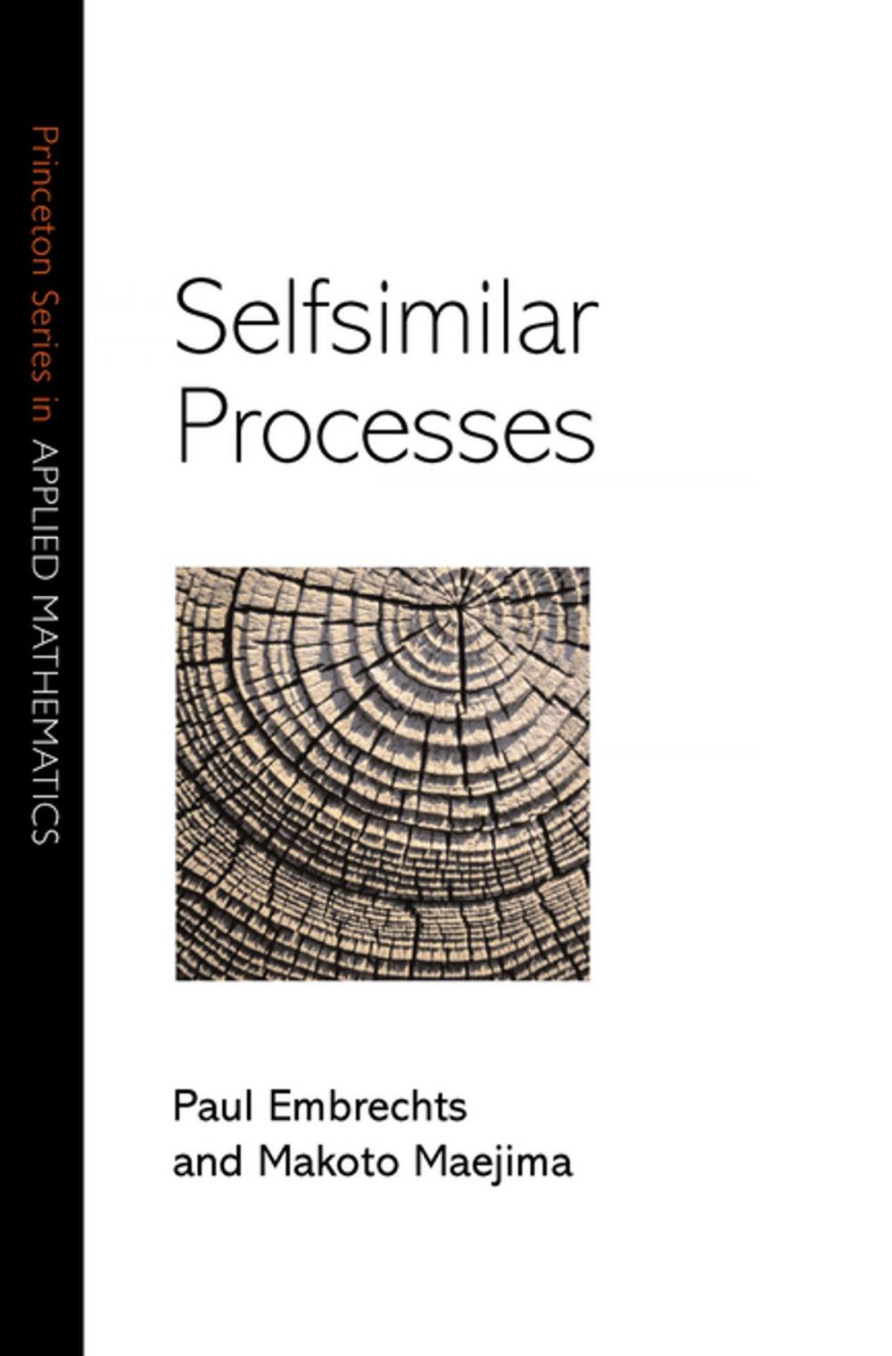 Big bigCover of Selfsimilar Processes