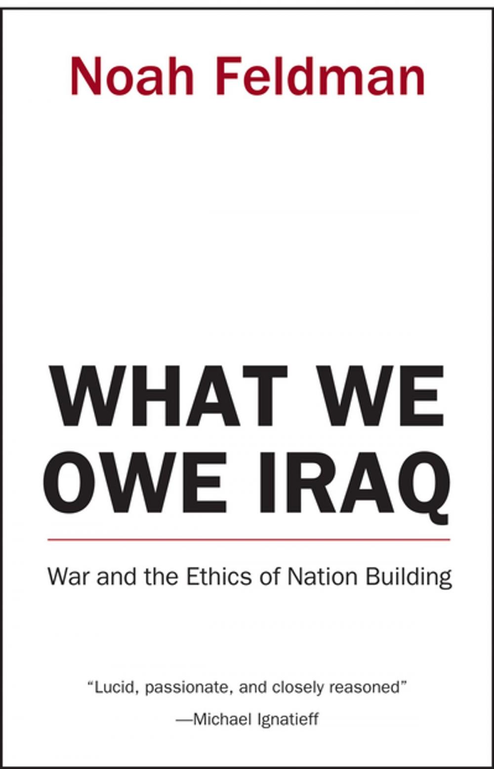 Big bigCover of What We Owe Iraq