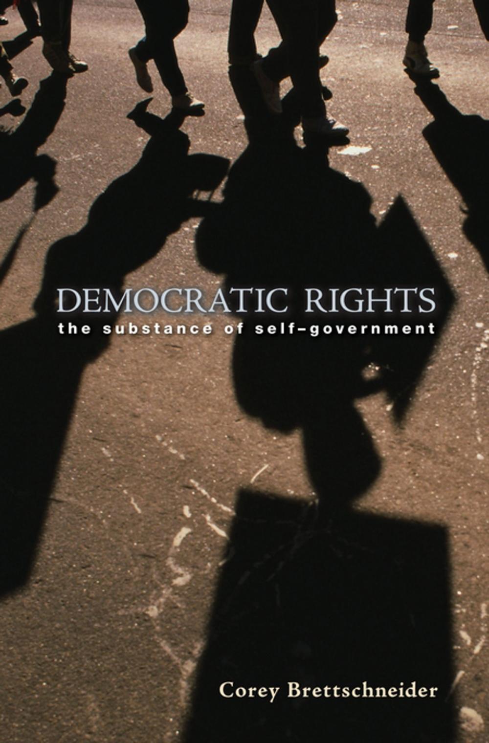 Big bigCover of Democratic Rights