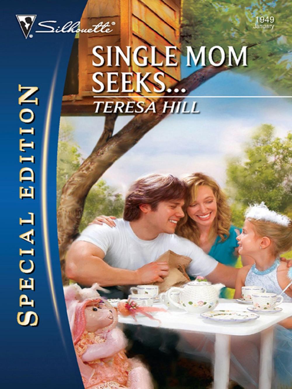 Big bigCover of Single Mom Seeks...