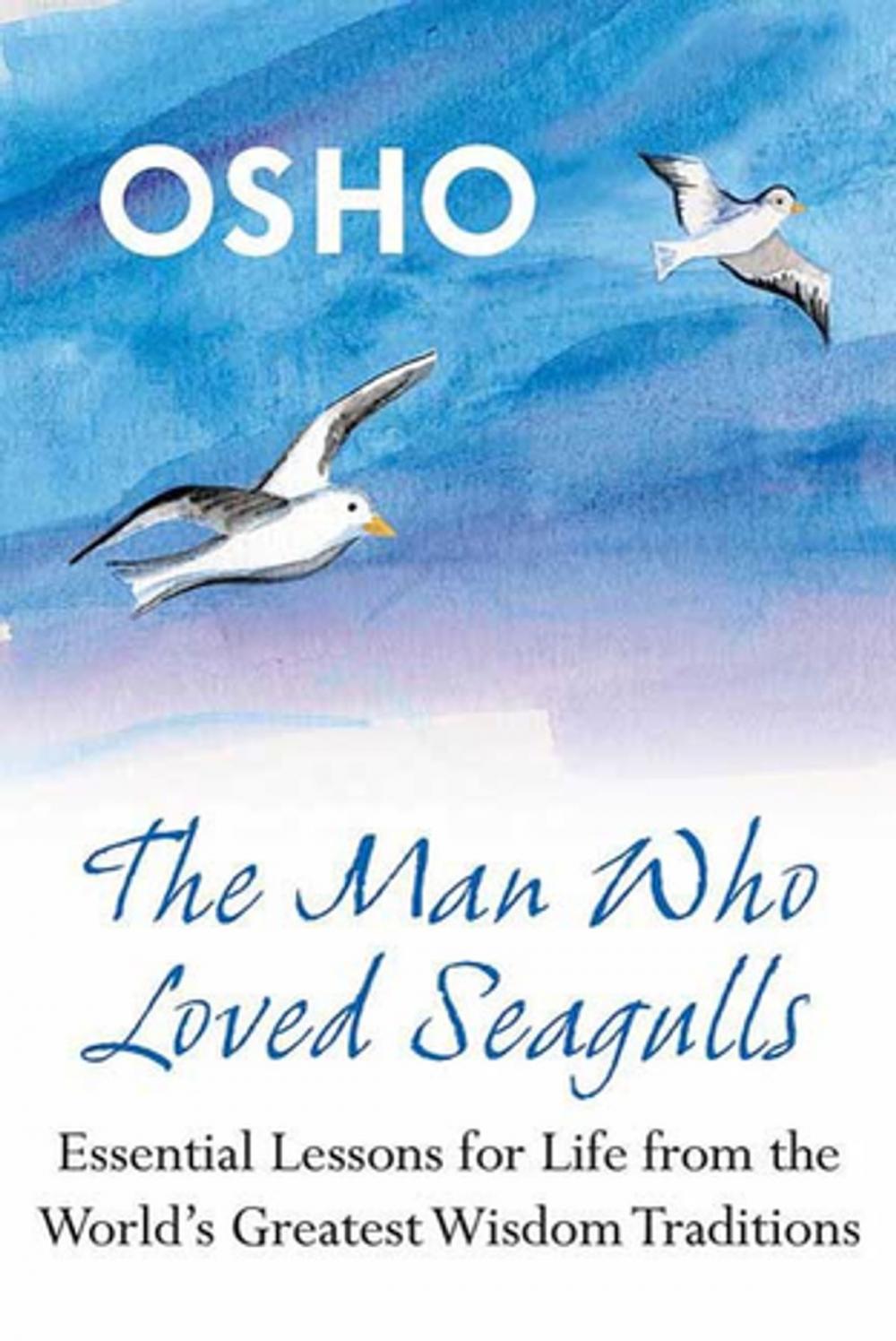 Big bigCover of The Man Who Loved Seagulls