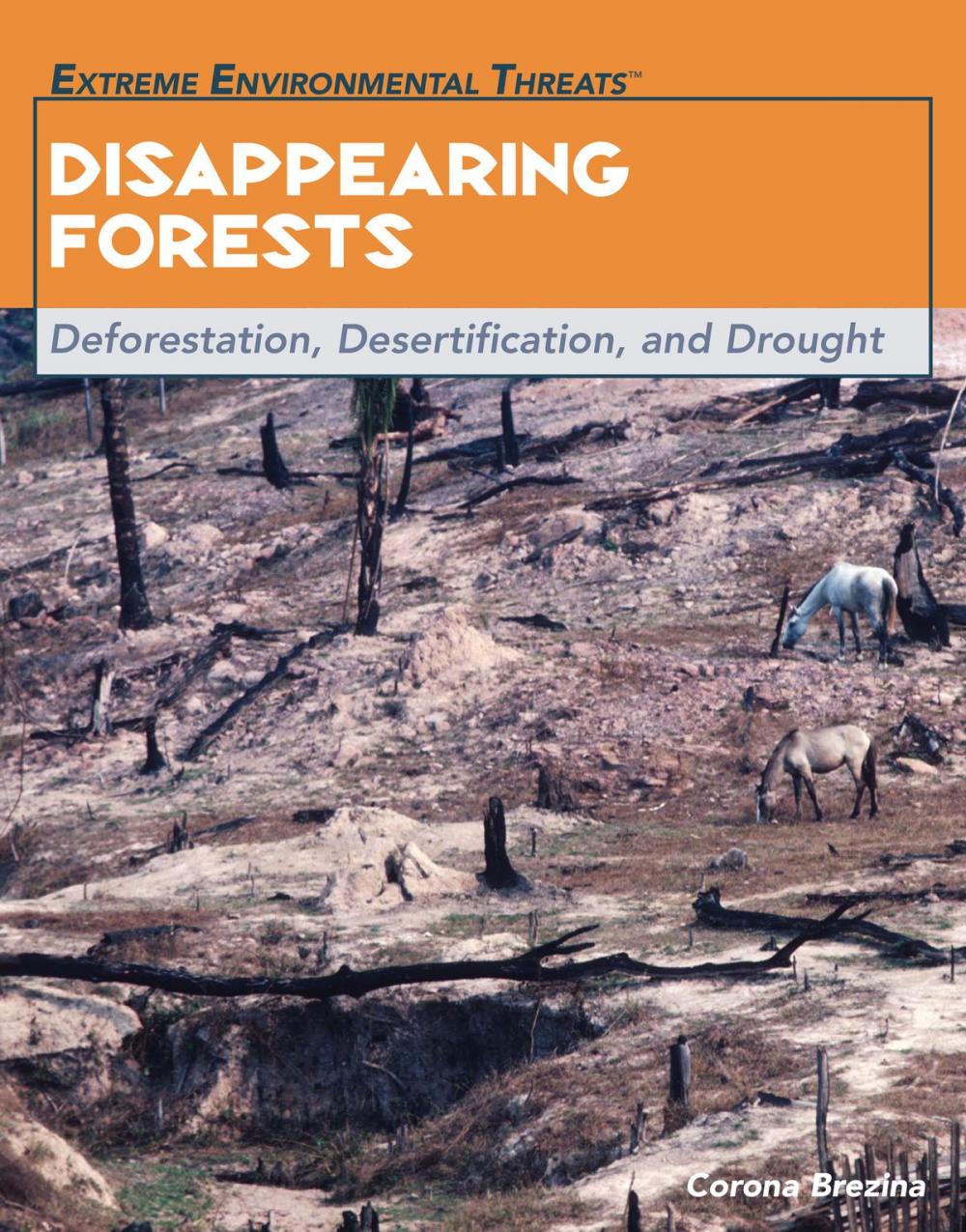 Big bigCover of Disappearing Forests