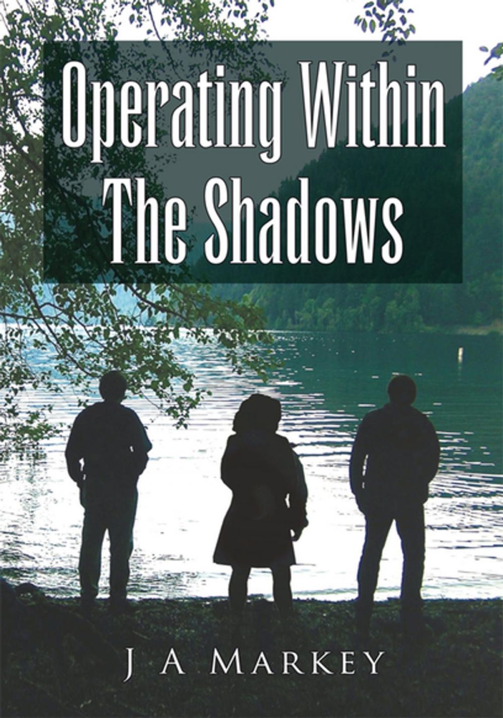 Big bigCover of Operating Within the Shadows