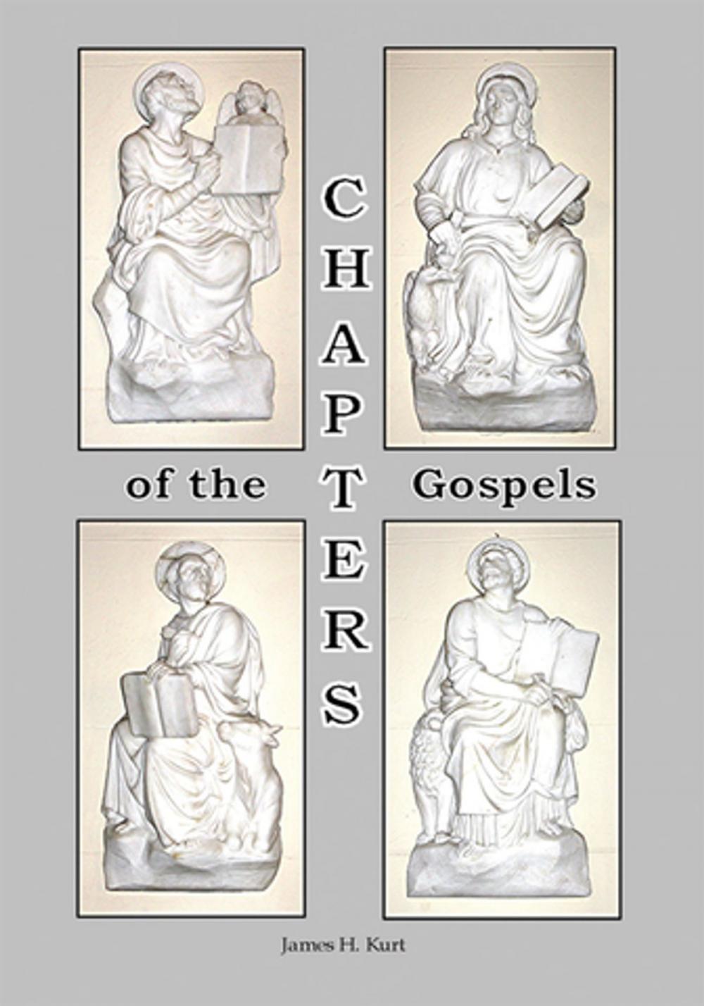 Big bigCover of Chapters of the Gospels