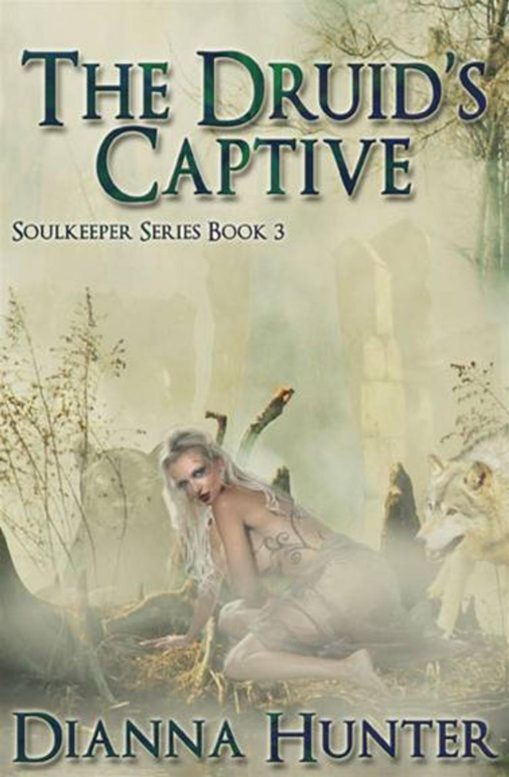 Big bigCover of The Druid's Captive