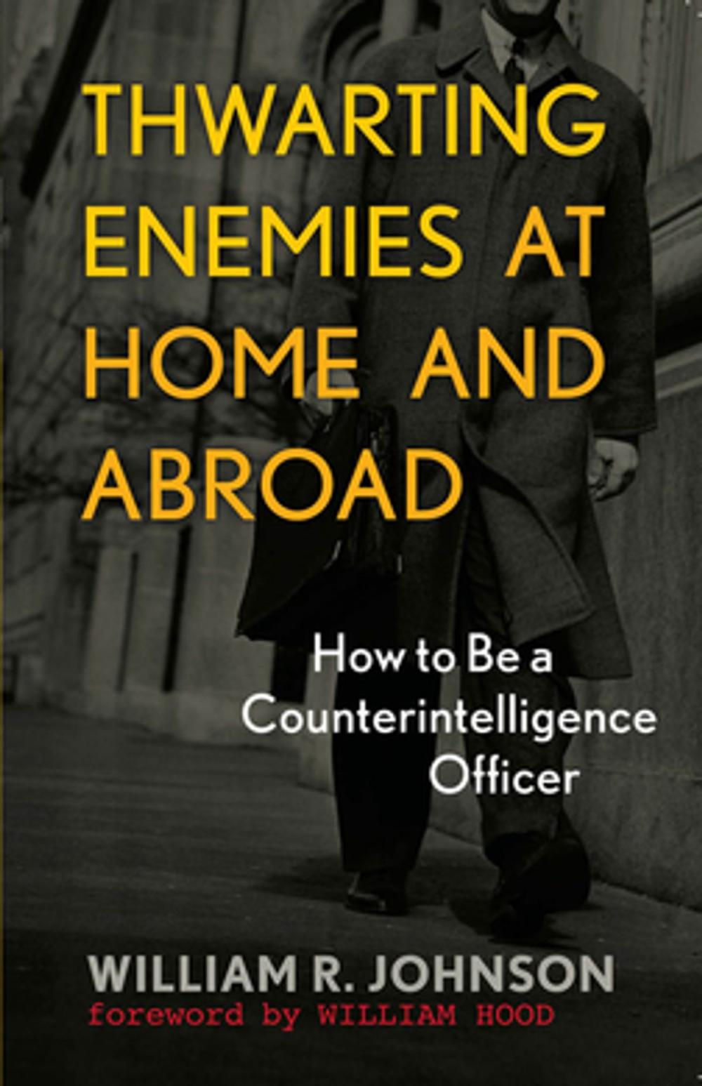 Big bigCover of Thwarting Enemies at Home and Abroad