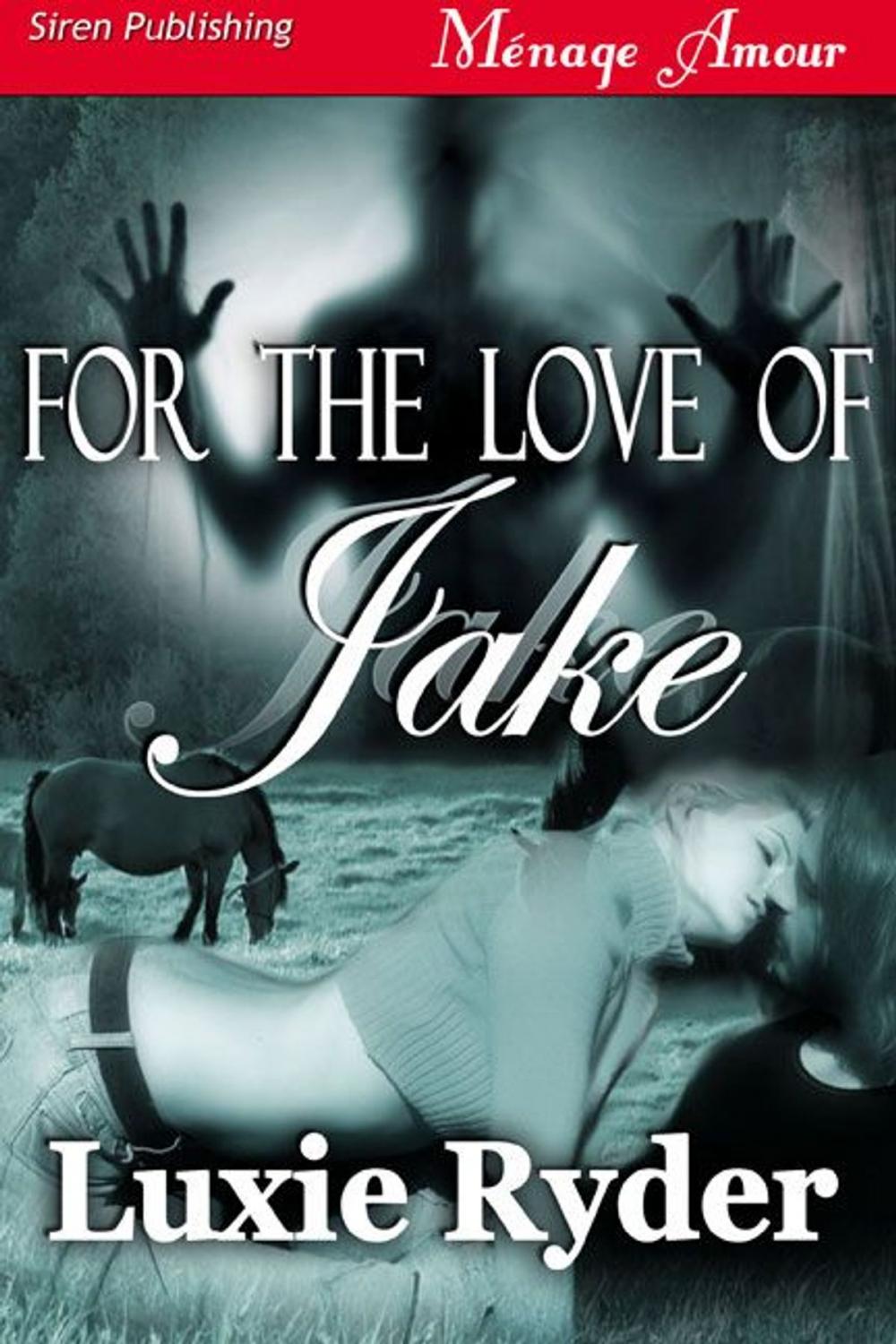 Big bigCover of For The Love Of Jake