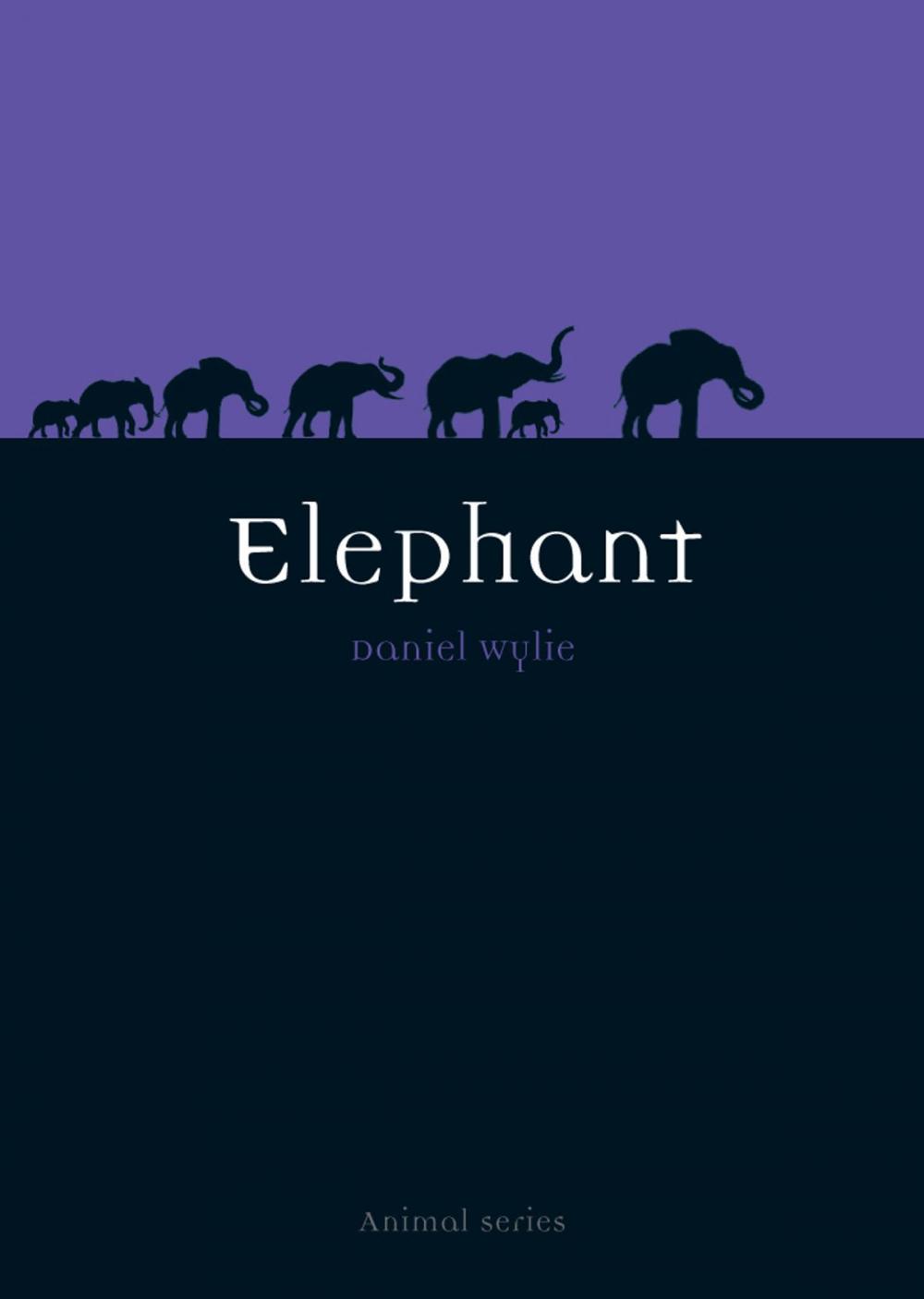 Big bigCover of Elephant