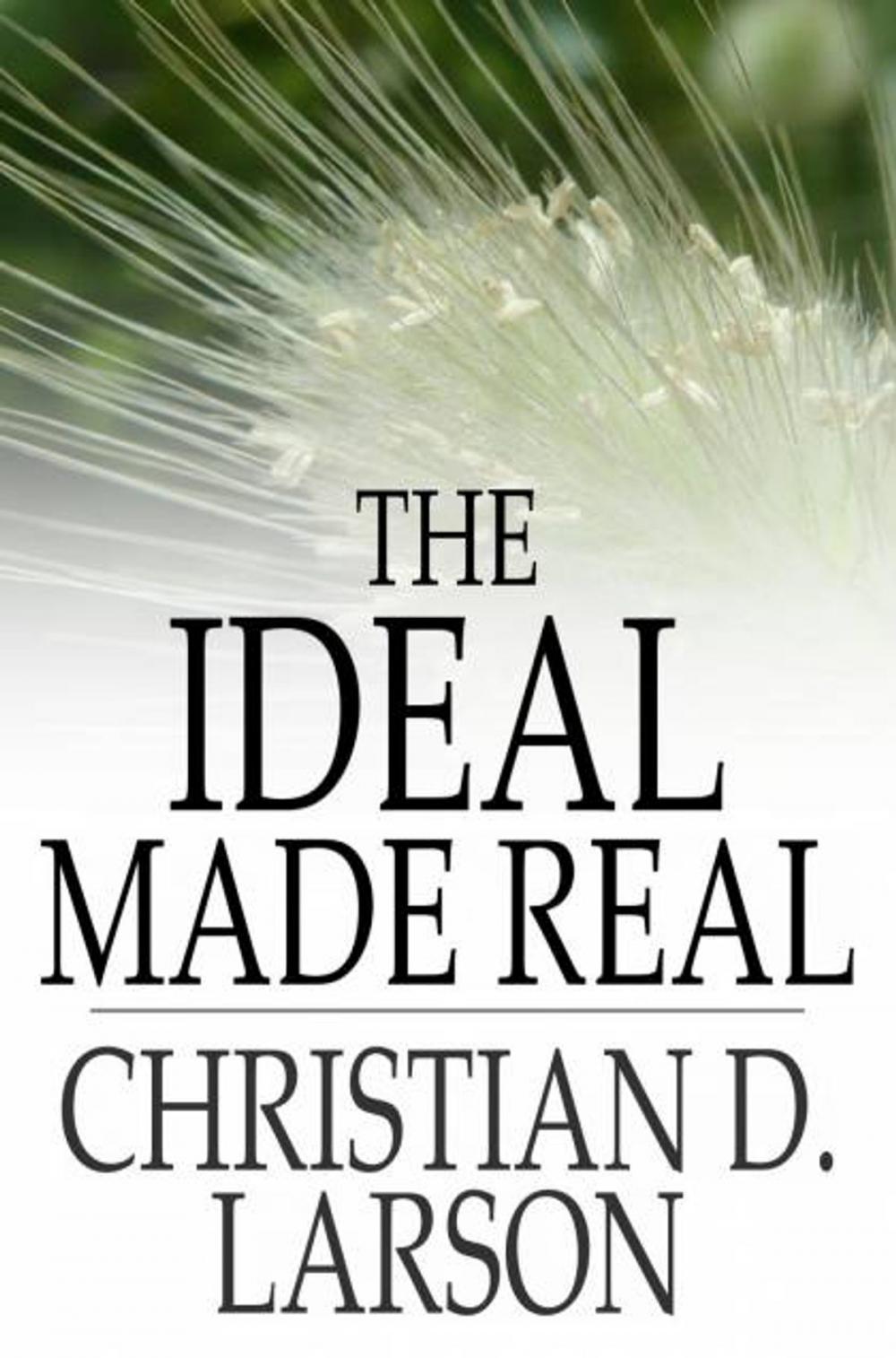 Big bigCover of The Ideal Made Real