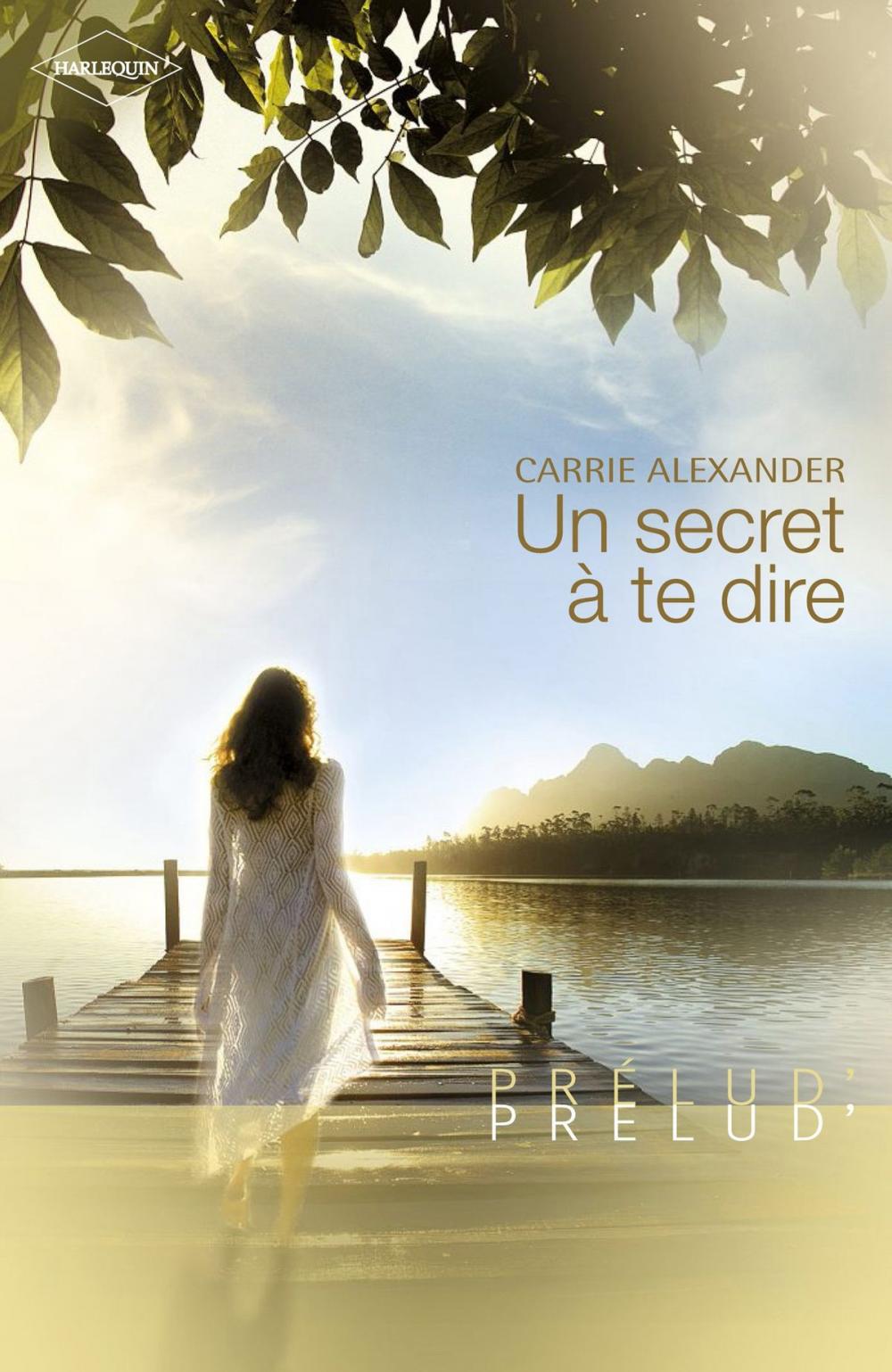 Big bigCover of Un secret à te dire (Harlequin Prélud')