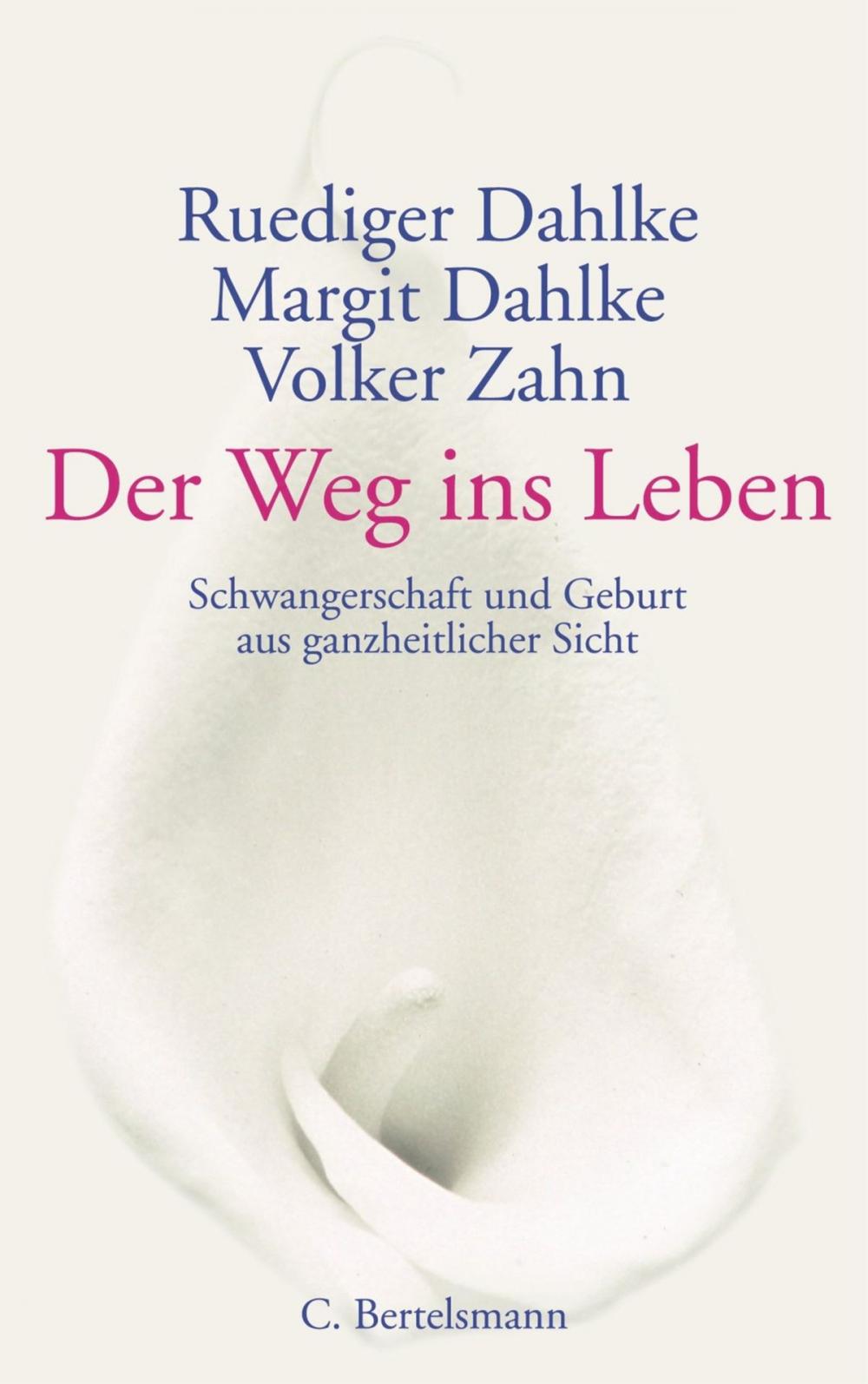 Big bigCover of Der Weg ins Leben