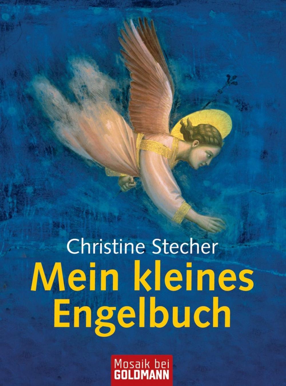 Big bigCover of Mein kleines Engelbuch