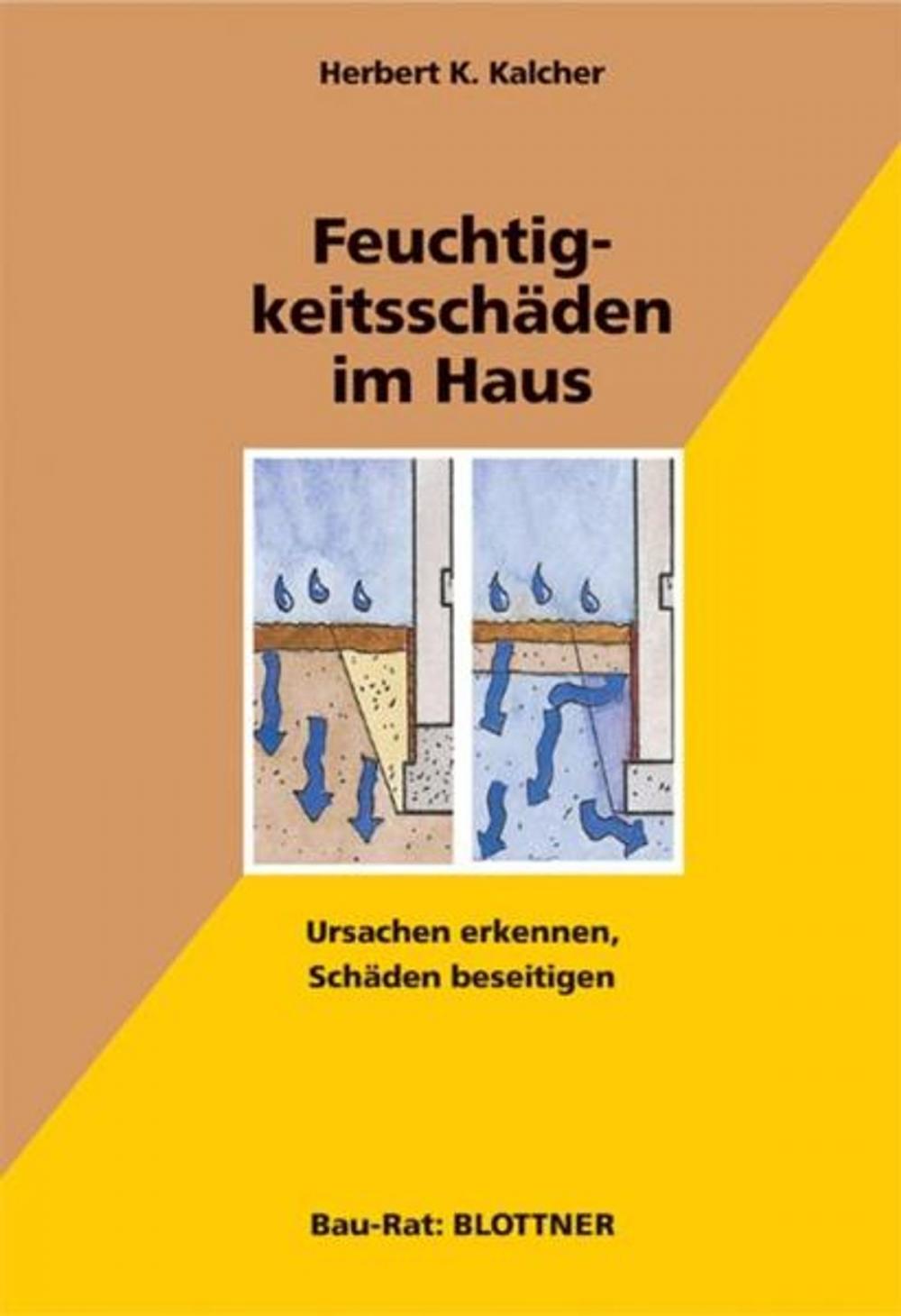 Big bigCover of Feuchtigkeitsschäden im Haus