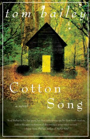 Cover of the book Cotton Song by Liam Callanan