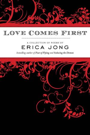 Cover of the book Love Comes First by Olivia Quincy
