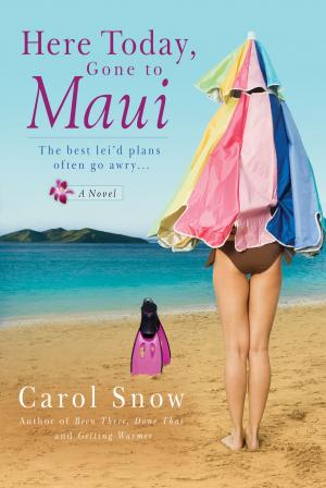 Cover of the book Here Today, Gone to Maui by Philippe Georget