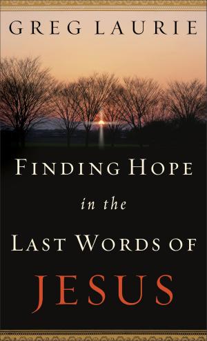 Cover of the book Finding Hope in the Last Words of Jesus by Kristen Heitzmann