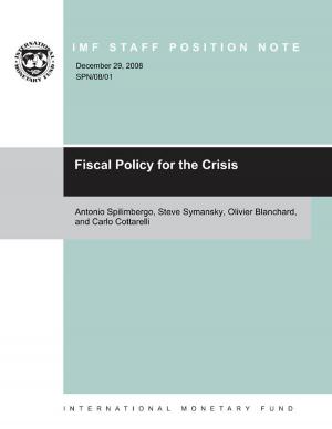Cover of the book Fiscal Policy for the Crisis by Klaus-Walter Mr. Riechel