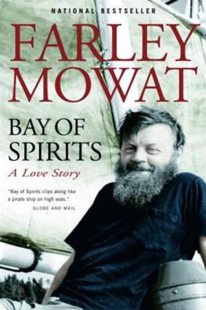 Cover of the book Bay of Spirits by Izni Zahidi