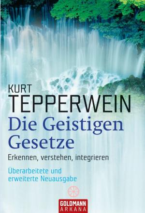 Cover of the book Die Geistigen Gesetze by S. Quinn