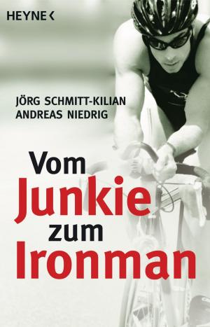 Book cover of Vom Junkie zum Ironman