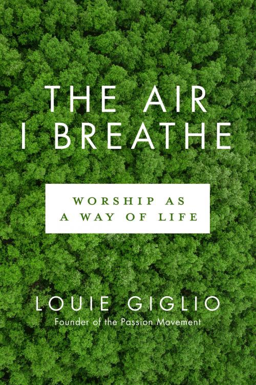 Cover of the book The Air I Breathe by Louie Giglio, The Crown Publishing Group